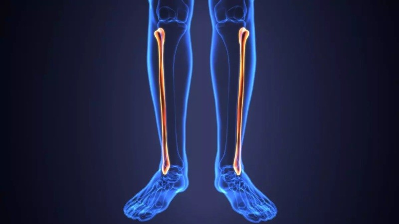 Kaval Kemiği (Fibula) Nedir?: Yapısı, Fonksiyonları
